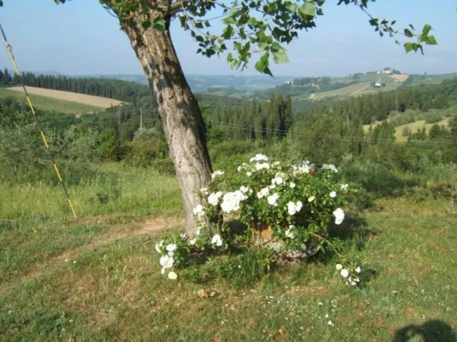 La Casina Nel Chianti Villa Strada in Chianti Holiday home