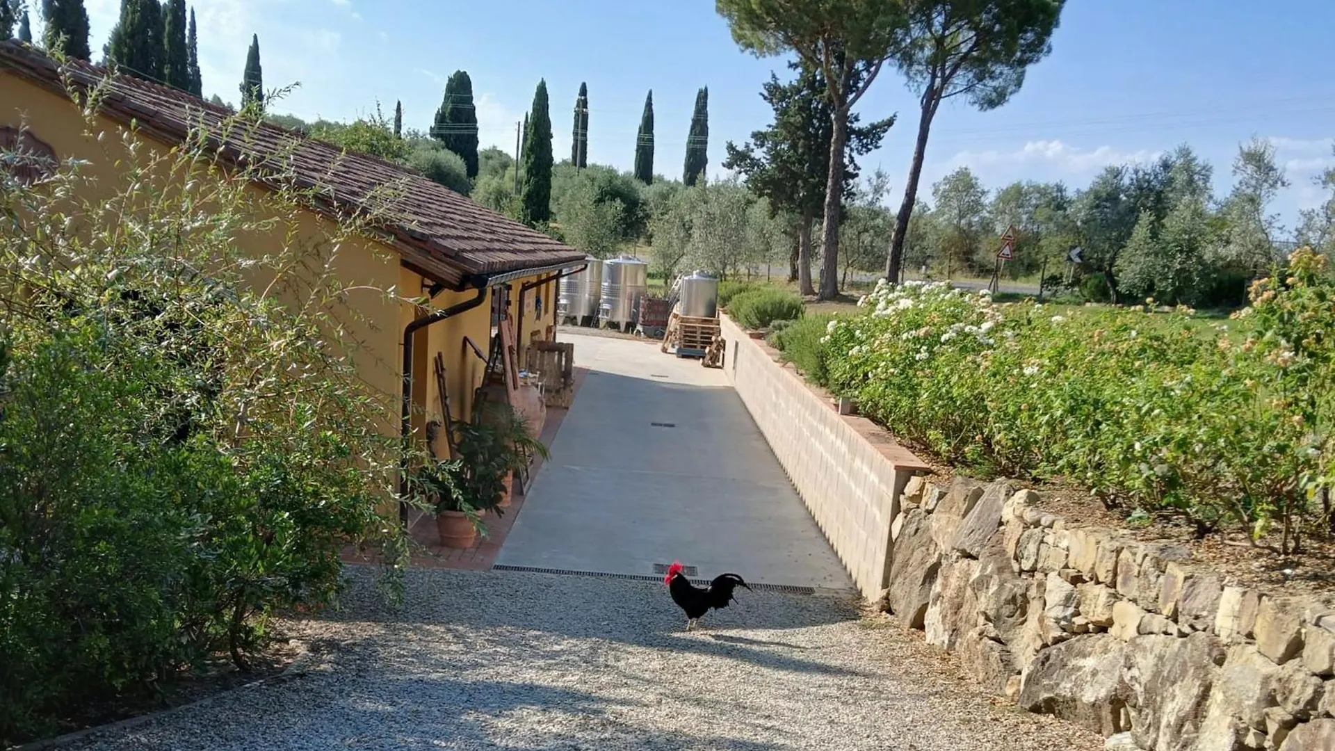 Holiday home La Casina Nel Chianti Villa Strada in Chianti